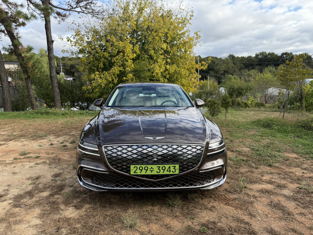 그라데이션 지-매트릭스 패턴이 적용된 크레스트 그릴.